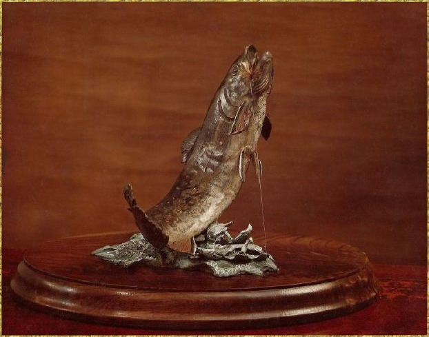 Brook Trout